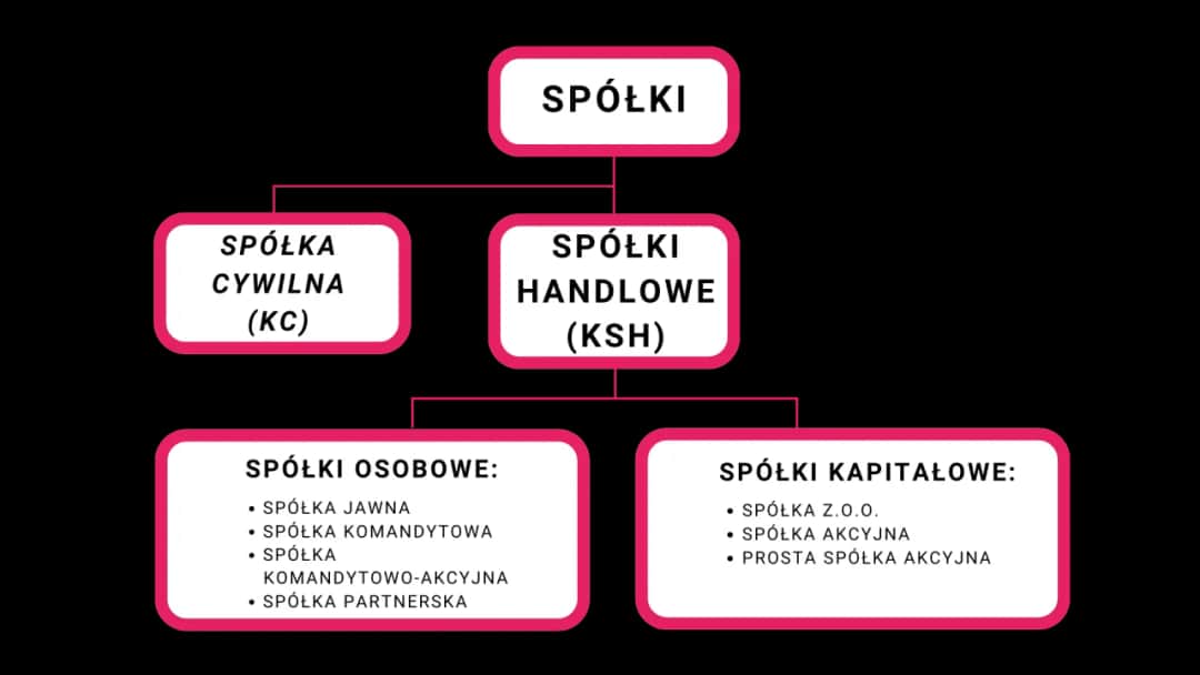 Jak działa spółka z o.o.? Kluczowe informacje o jej funkcjonowaniu